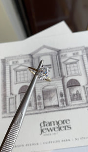 Custom Engagement Ring Mounting - Oval Diamond Hidden Halo